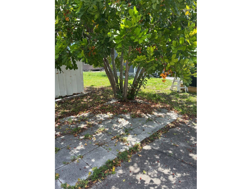 55+ community with the lowest lot rent in St. Petersburg! 3 - photo 26