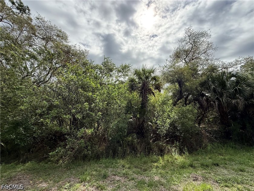 Discover the potential of this 1.25-acre raw lot located in the - photo 3