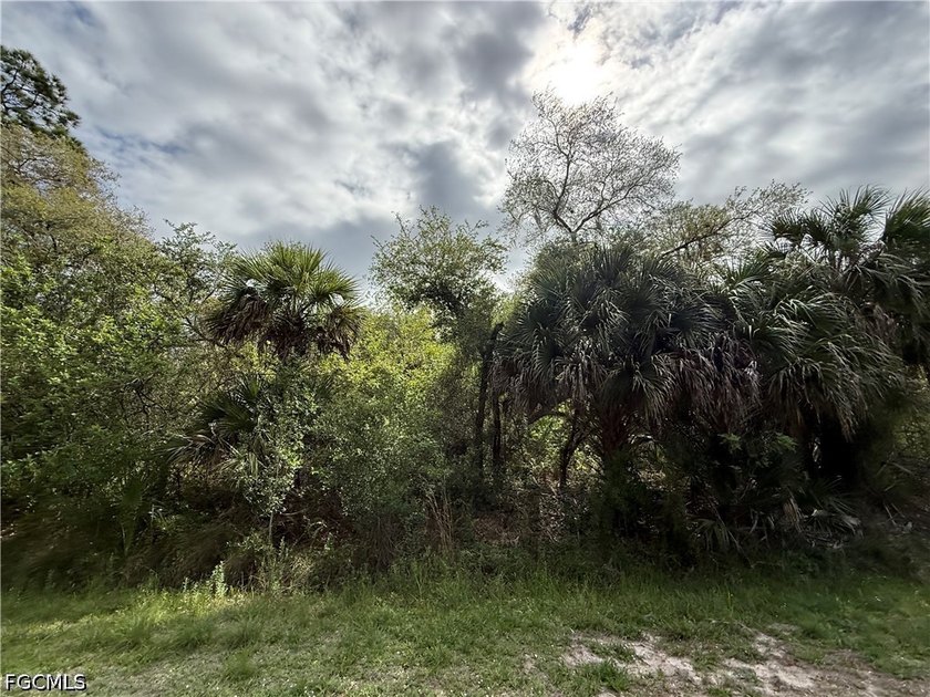 Discover the potential of this 1.25-acre raw lot located in the - photo 4