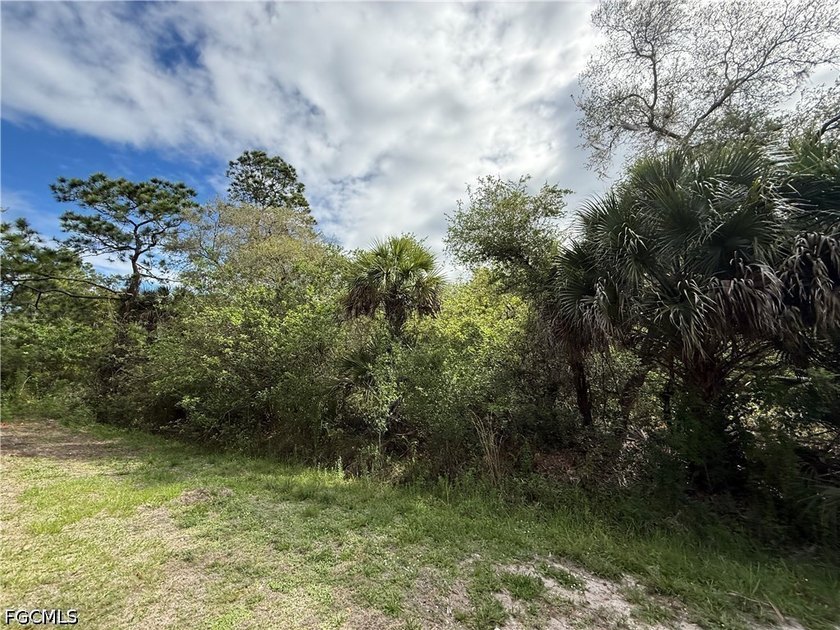 Discover the potential of this 1.25-acre raw lot located in the - photo 5