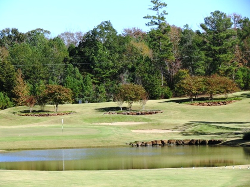 Lake Palestine Living in Prestigious Eagle's Bluff - photo 21