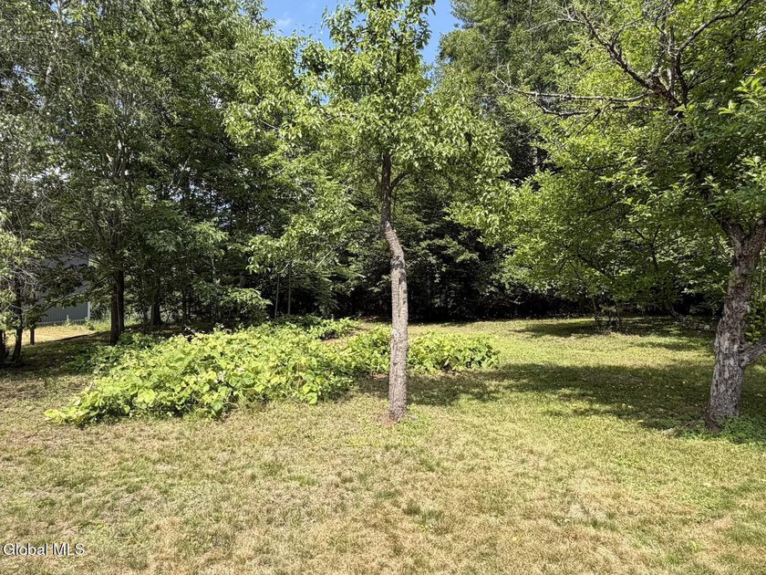 Completely Renovated 2-Bedroom Home on 1.2 Acres Move right into - photo 27