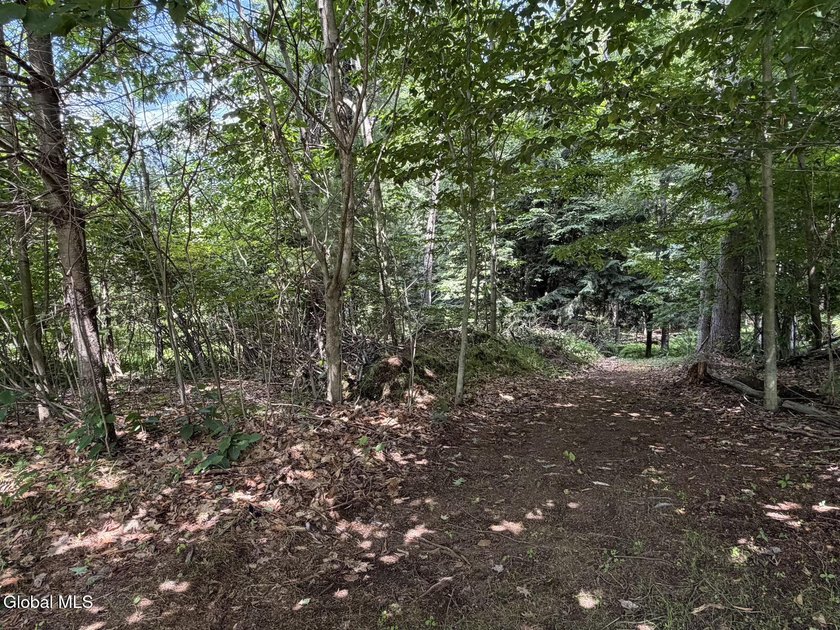 Completely Renovated 2-Bedroom Home on 1.2 Acres Move right into - photo 28