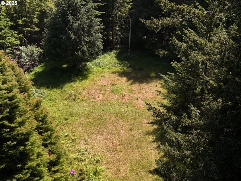 Over 6 Acres of Private, Tranquil and Useable Property. This - photo 11