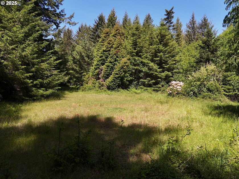 Over 6 Acres of Private, Tranquil and Useable Property. This - photo 14