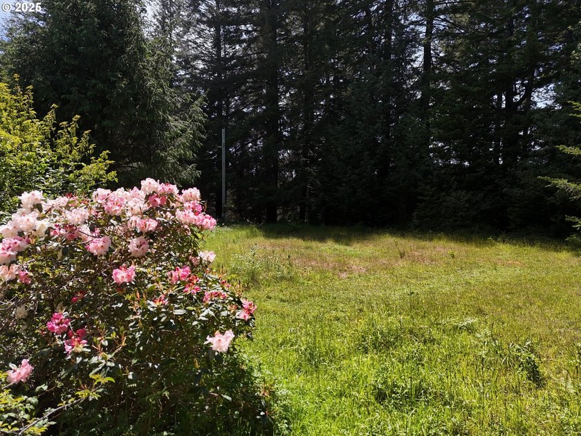 Over 6 Acres of Private, Tranquil and Useable Property. This - photo 15