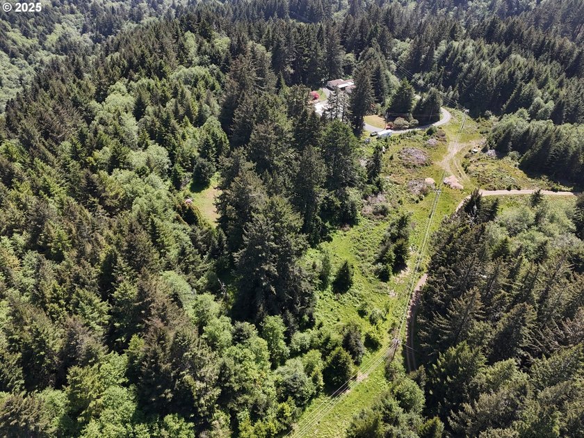 Over 6 Acres of Private, Tranquil and Useable Property. This - photo 18