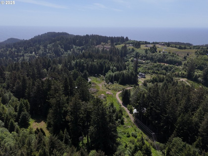 Over 6 Acres of Private, Tranquil and Useable Property. This - photo 19