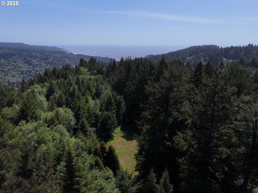 Over 6 Acres of Private, Tranquil and Useable Property. This - photo 20