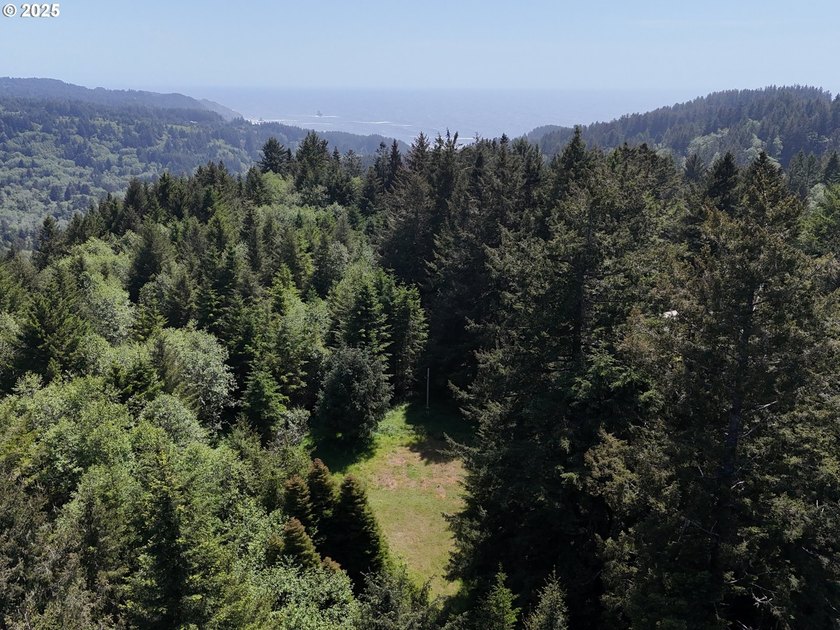 Over 6 Acres of Private, Tranquil and Useable Property. This - photo 21
