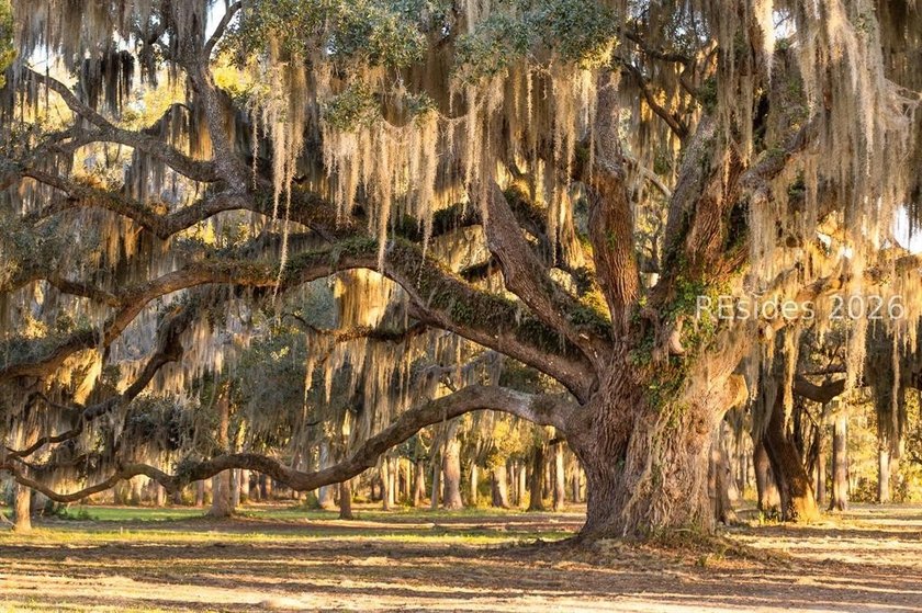 Discover your dream home site in the coveted Whitehall Point - photo 22