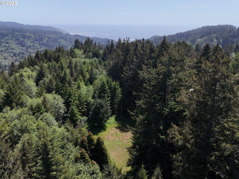 Over 6 Acres of Private, Tranquil and Useable Property. This - photo 22
