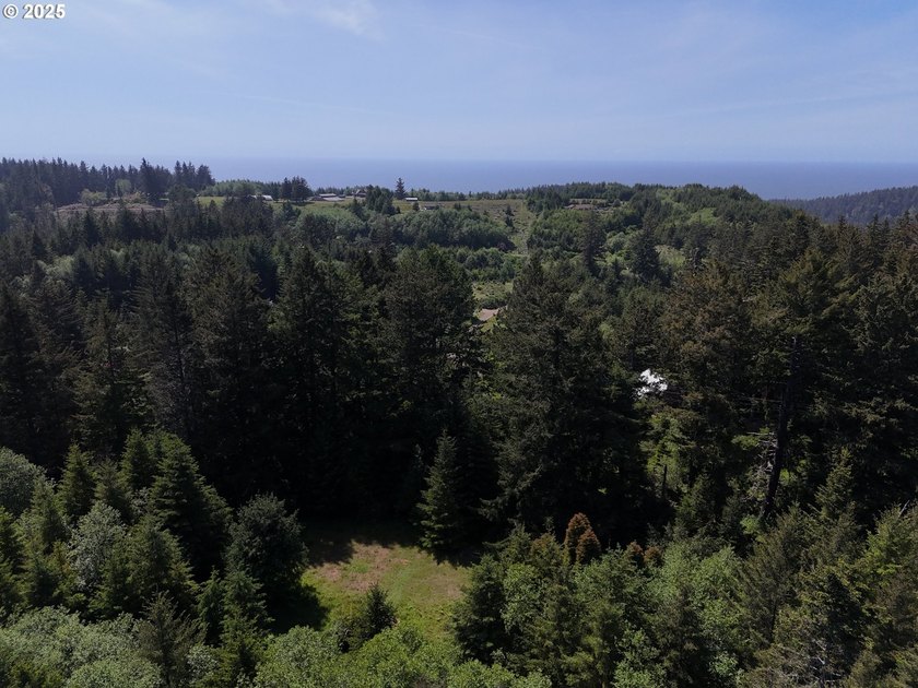 Over 6 Acres of Private, Tranquil and Useable Property. This - photo 24