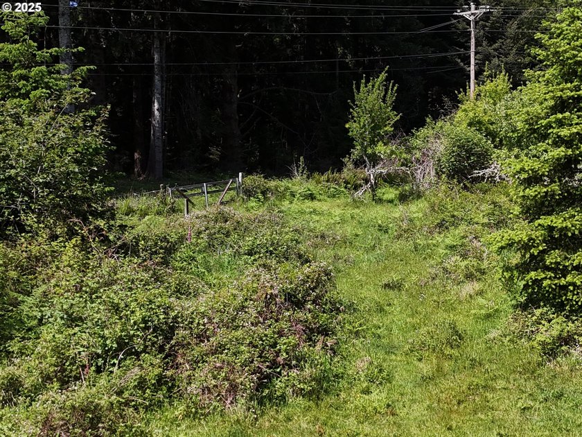 Over 6 Acres of Private, Tranquil and Useable Property. This - photo 27