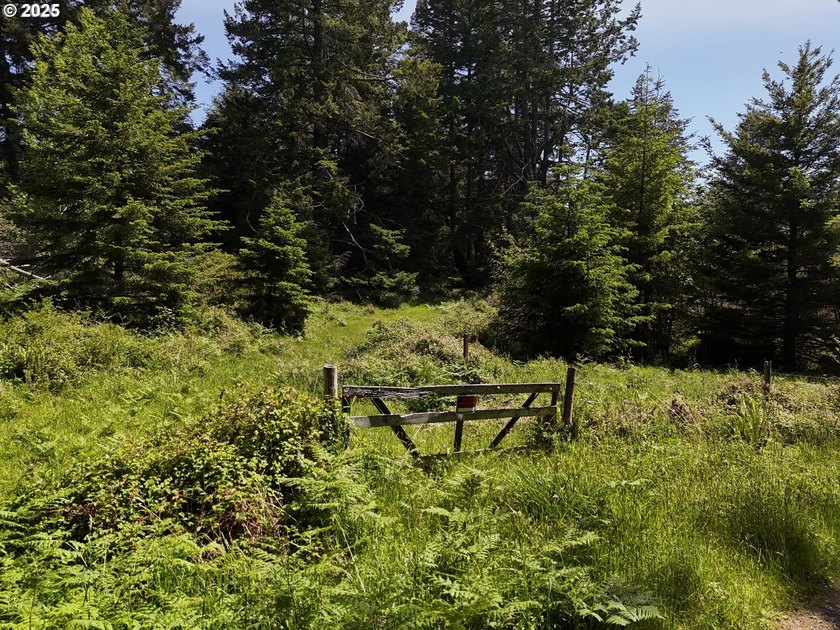 Over 6 Acres of Private, Tranquil and Useable Property. This - photo 28