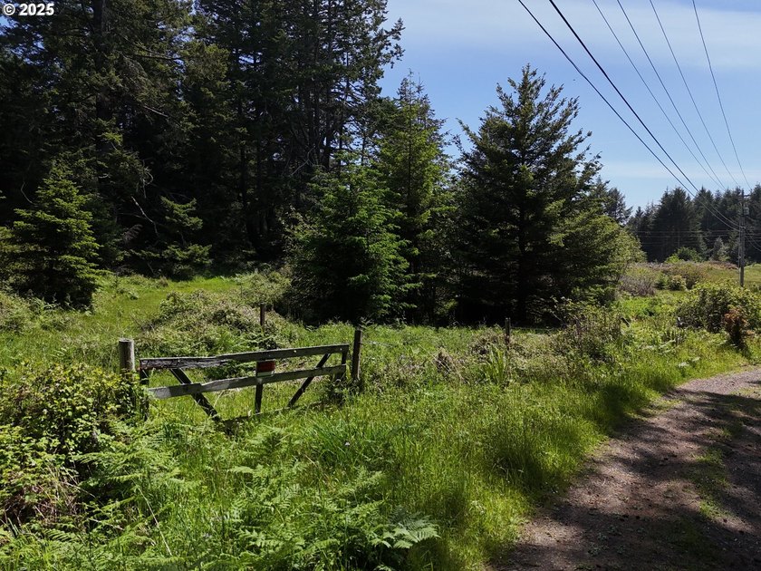 Over 6 Acres of Private, Tranquil and Useable Property. This - photo 29