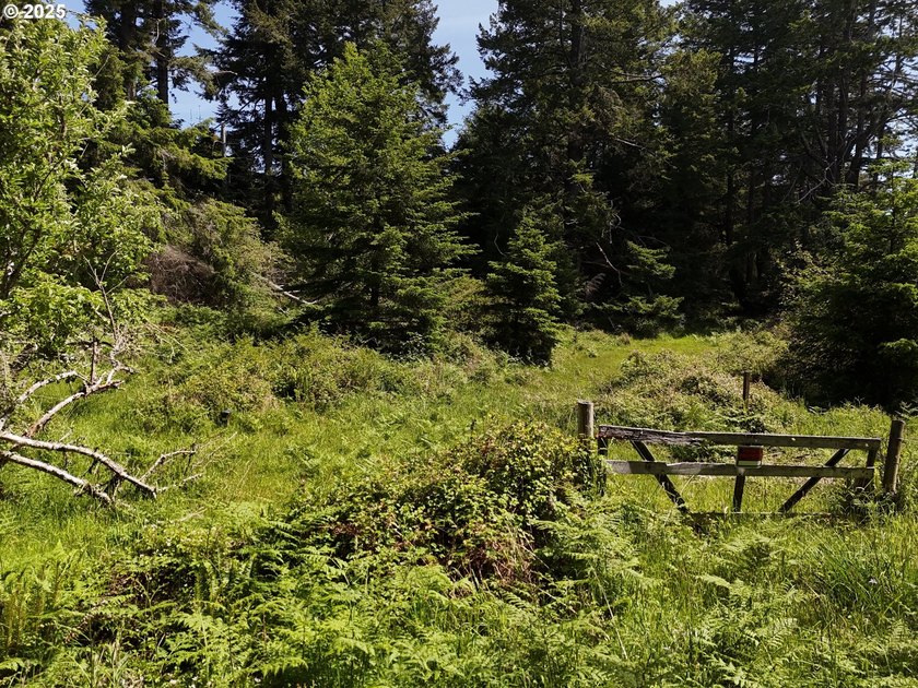 Over 6 Acres of Private, Tranquil and Useable Property. This - photo 30