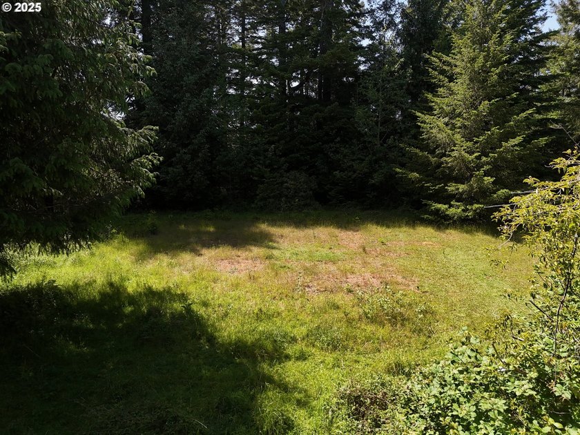 Over 6 Acres of Private, Tranquil and Useable Property. This - photo 32
