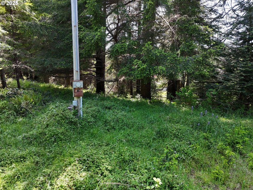 Over 6 Acres of Private, Tranquil and Useable Property. This - photo 33