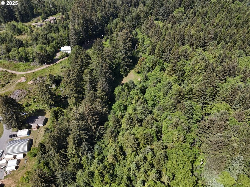 Over 6 Acres of Private, Tranquil and Useable Property. This - photo 38