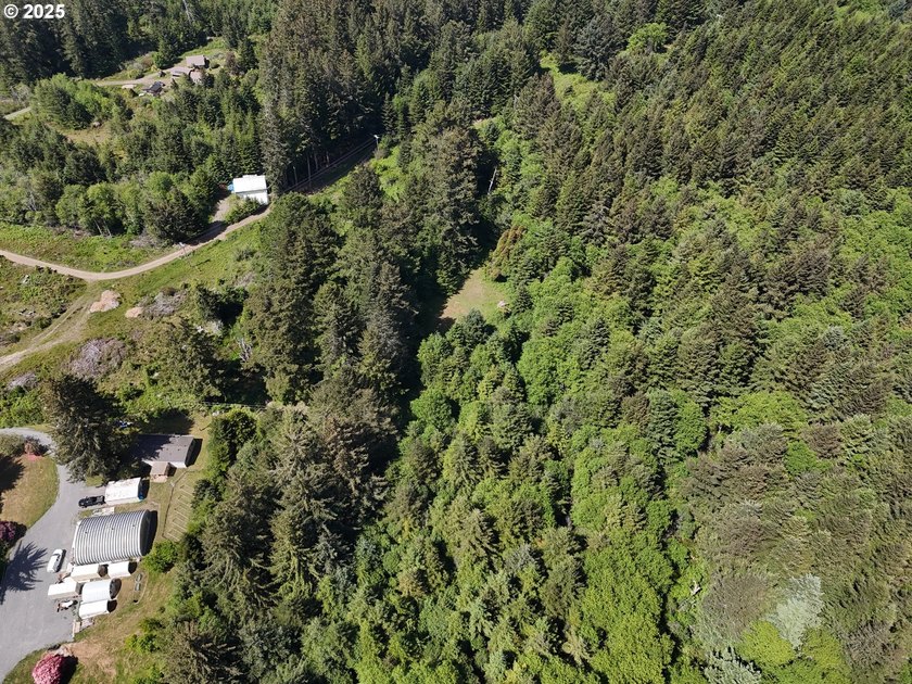 Over 6 Acres of Private, Tranquil and Useable Property. This - photo 39