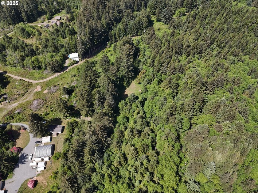 Over 6 Acres of Private, Tranquil and Useable Property. This - photo 40