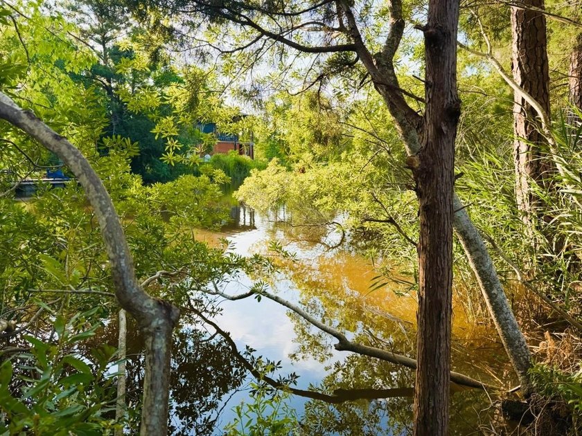 Experience the quintessential Lowcountry lifestyle with this - photo 3