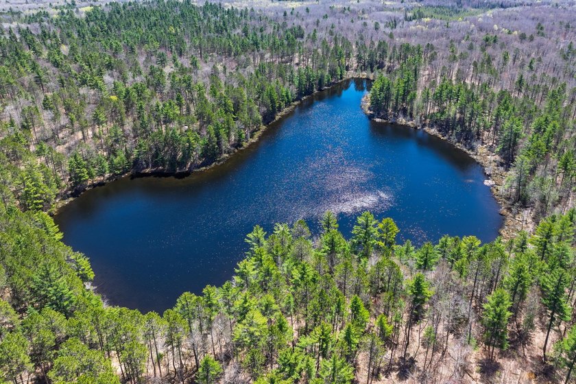 Ultimate privacy on 80 wooded acres with your own private - photo 2