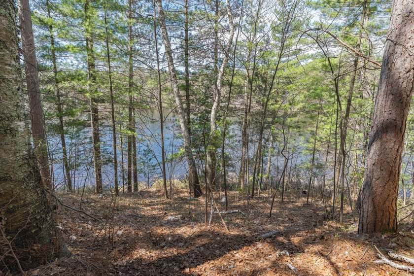 Ultimate privacy on 80 wooded acres with your own private - photo 9