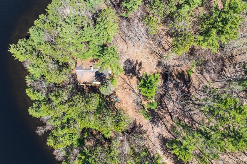 Ultimate privacy on 80 wooded acres with your own private - photo 10