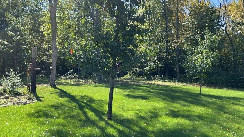 Amazing custom built home on 40 wooded acres near White Lake in - photo 4