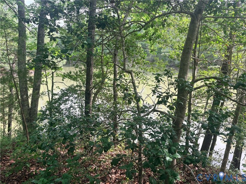 Waterfront Opportunity - 3 Lots Total (1.77 Acres)! Professional - photo 7