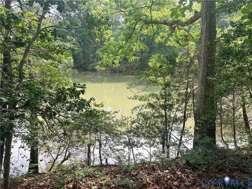 Waterfront Opportunity - 3 Lots Total (1.77 Acres)! Professional - photo 8