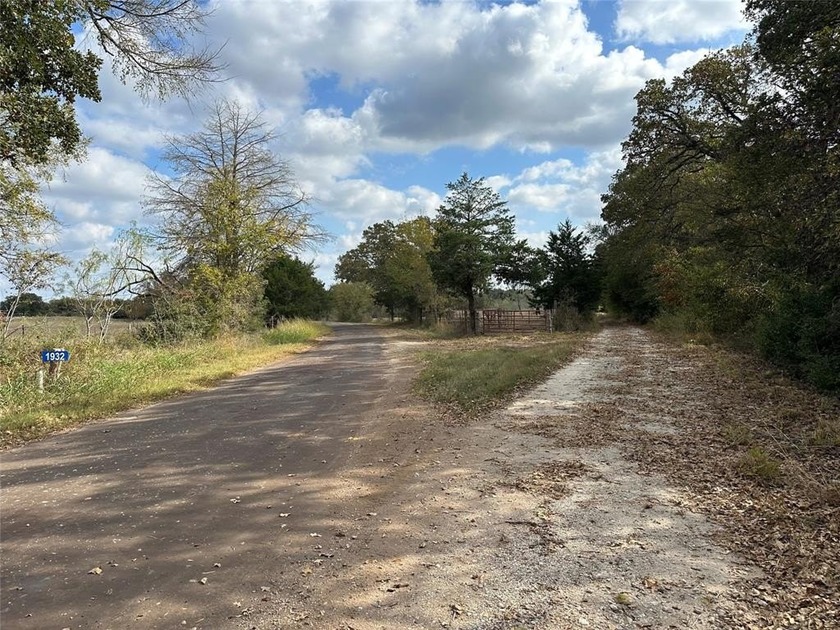 Gorgeous Large Oak Trees on this 90 Acre Ranch with Utilities - photo 3