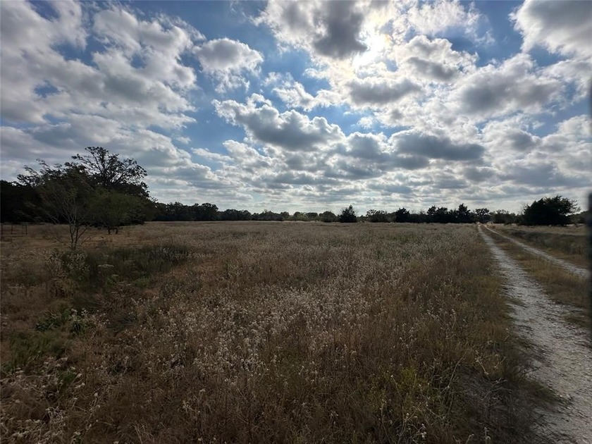 Gorgeous Large Oak Trees on this 90 Acre Ranch with Utilities - photo 4