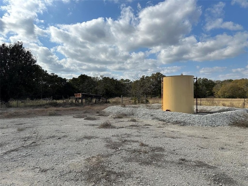 Gorgeous Large Oak Trees on this 90 Acre Ranch with Utilities - photo 6