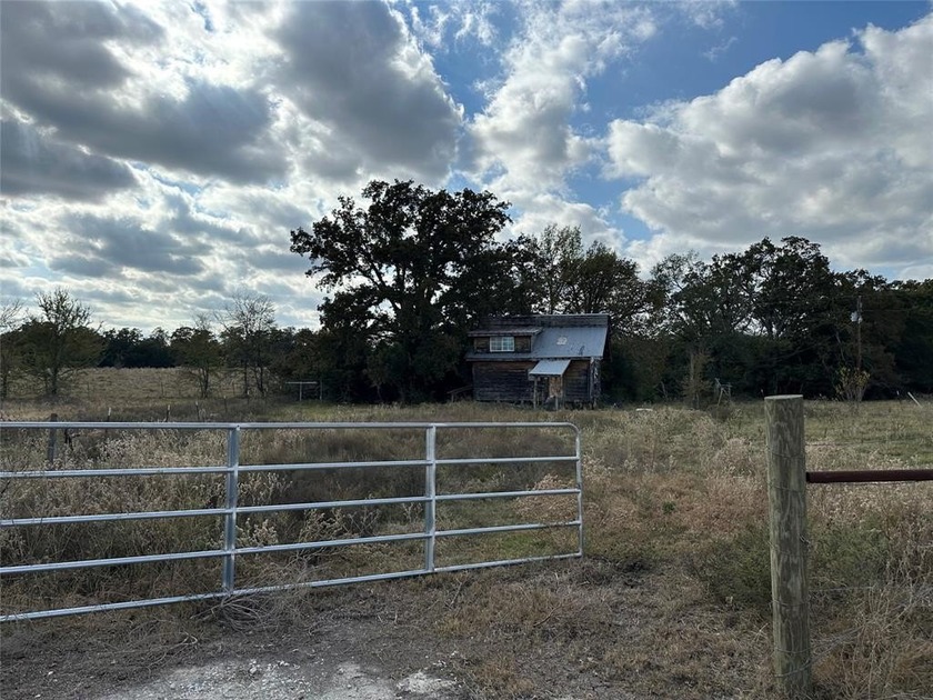 Gorgeous Large Oak Trees on this 90 Acre Ranch with Utilities - photo 7
