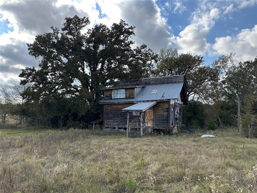 Gorgeous Large Oak Trees on this 90 Acre Ranch with Utilities - photo 8