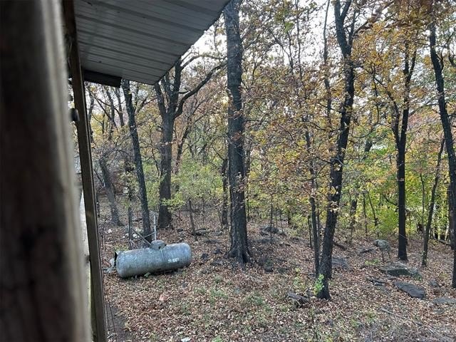 View of Arkansas River from Back Porch, 12x14 workshop, very - photo 6