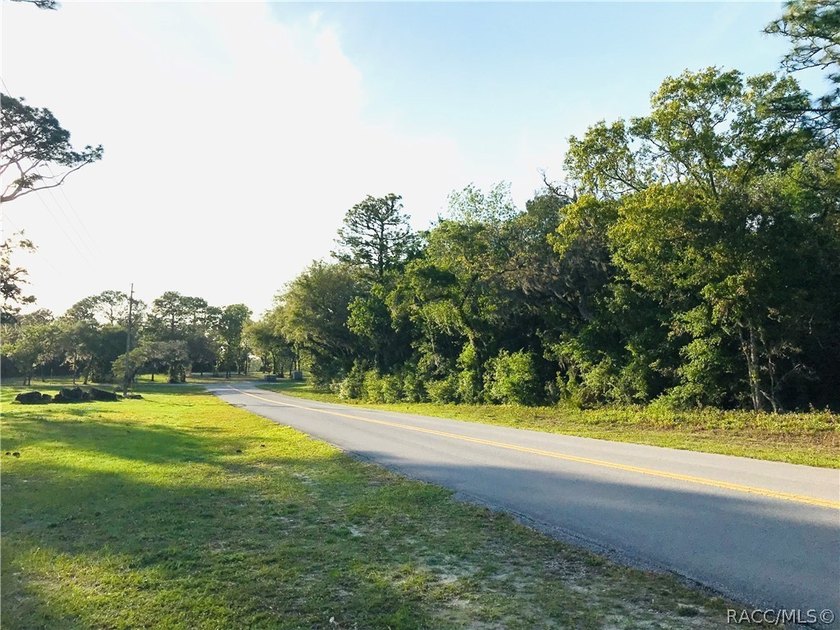 21.35 acre assemblage of three parcels at Cypress Village Center - photo 11
