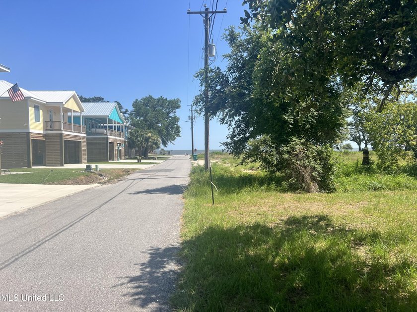 Large Beautiful lot perfect for your dream home, vacation home - photo 3
