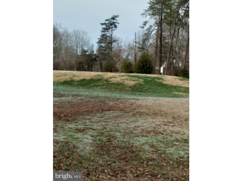 Bring us an offer! UNDER 500$ IN AQUIA HARBOUR one level living - photo 19