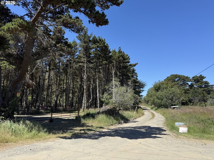 WEST BANDON LOT, .34 acre, in the developing Donut Hole area - photo 12