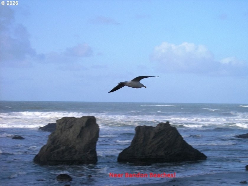 WEST BANDON LOT, .34 acre, in the developing Donut Hole area - photo 16
