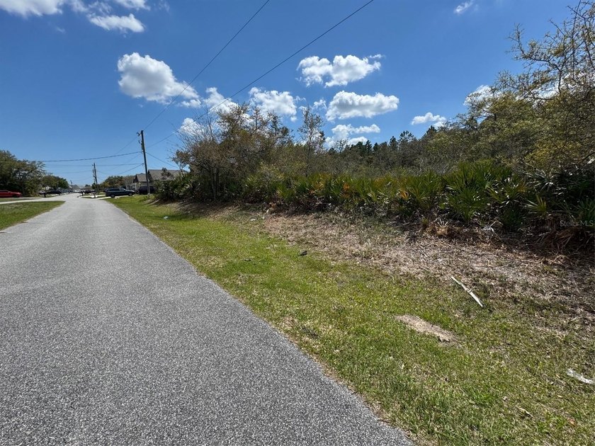 There are only a limited number of lots in Palm Coast where you - photo 3