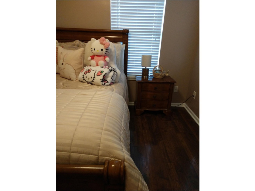Ranch villa. Maintenance free living. Beautiful home move in - photo 9