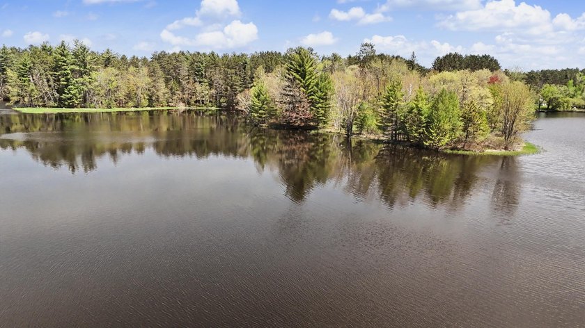 Beautiful country home with deeded access to Lake Nokomis - photo 3