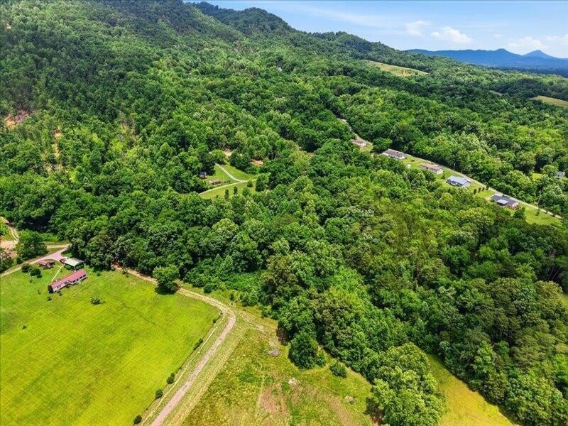 11.35 Acres | Springs | Pond | Creeks | Wildlife | Over 1,900 Sq - photo 34