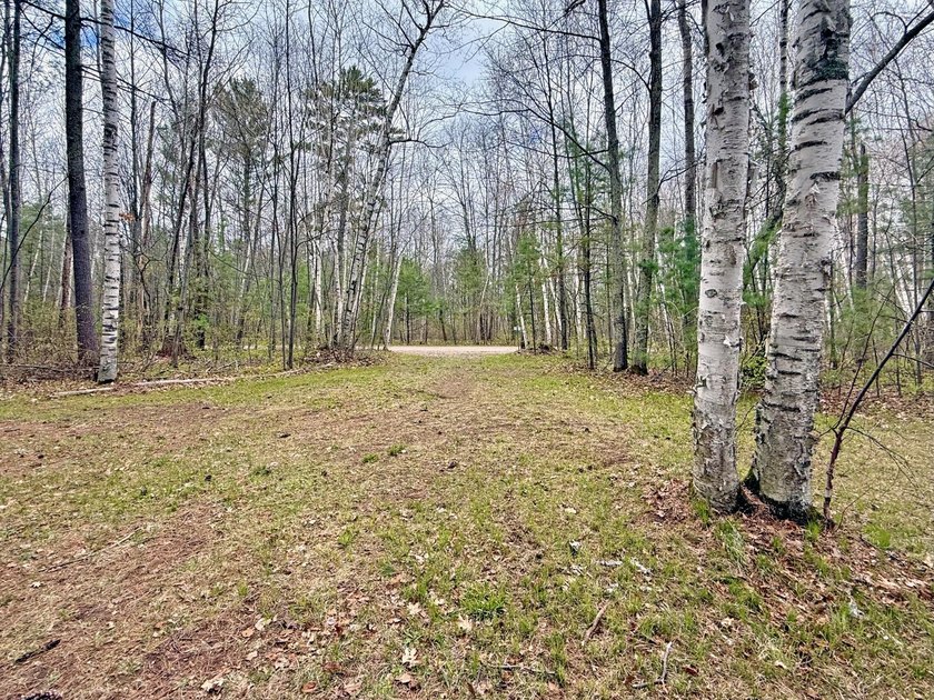 Tucked beneath a canopy of mature Northwoods hardwoods and pines - photo 3