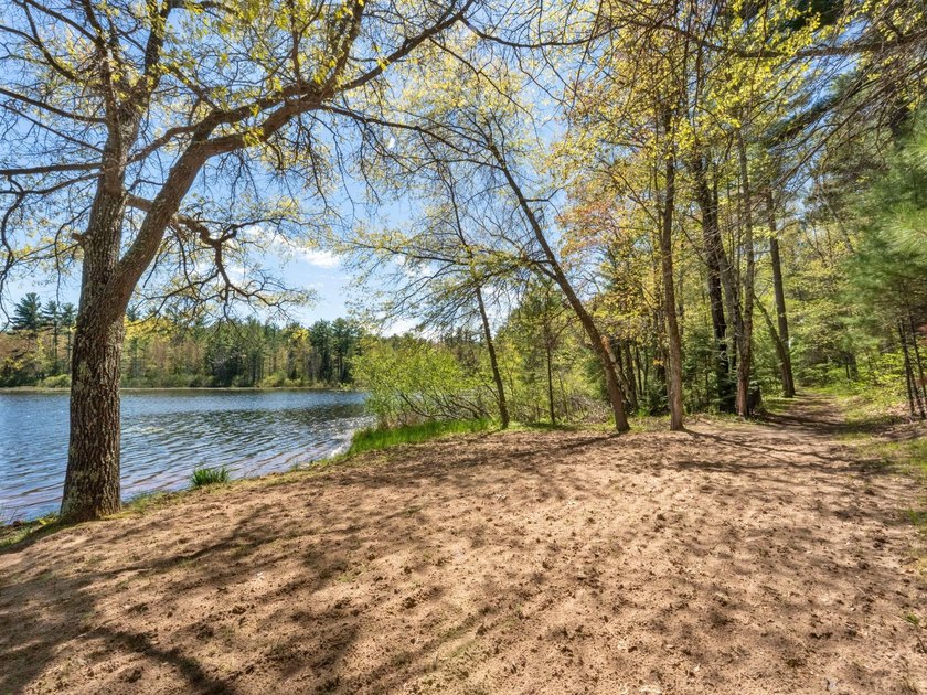 Tucked beneath a canopy of mature Northwoods hardwoods and pines - photo 4